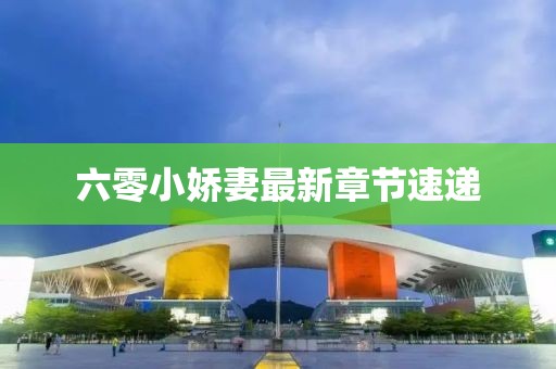 六零小娇妻最新章节速递