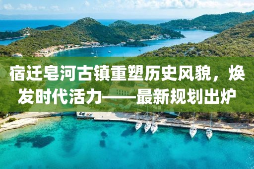 宿迁皂河古镇重塑历史风貌，焕发时代活力——最新规划出炉