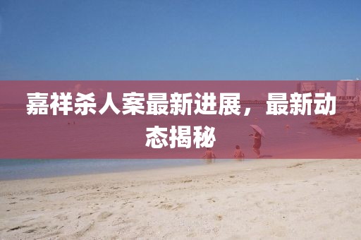 嘉祥杀人案最新进展，最新动态揭秘