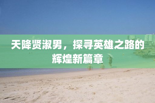 天降贤淑男，探寻英雄之路的辉煌新篇章