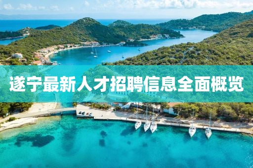 遂宁最新人才招聘信息全面概览