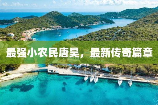 最强小农民唐昊，最新传奇篇章