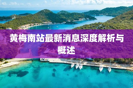 黄梅南站最新消息深度解析与概述