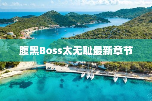 腹黑Boss太无耻最新章节