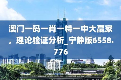 澳门一码一肖一特一中大羸家，理论验证分析_宁静版6558.776