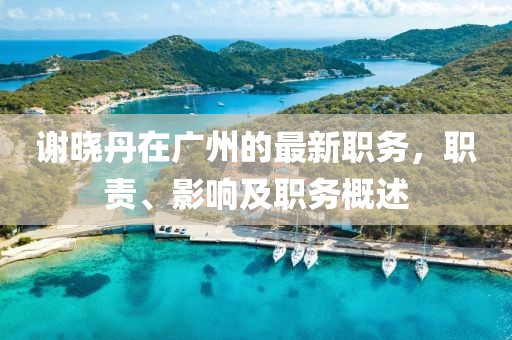 谢晓丹在广州的最新职务，职责、影响及职务概述