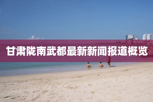 甘肃陇南武都最新新闻报道概览