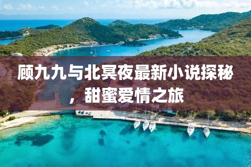 顾九九与北冥夜最新小说探秘，甜蜜爱情之旅