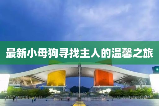 最新小母狗寻找主人的温馨之旅