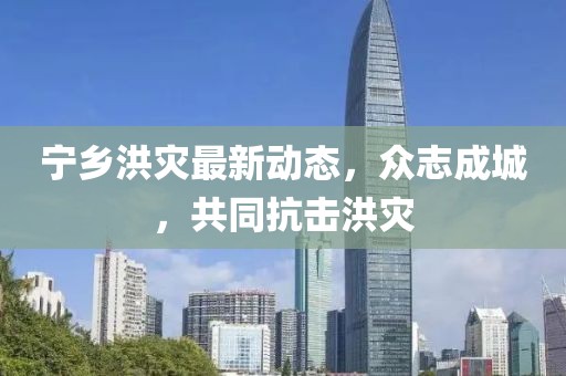 宁乡洪灾最新动态，众志成城，共同抗击洪灾