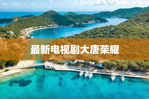 最新电视剧大唐荣耀