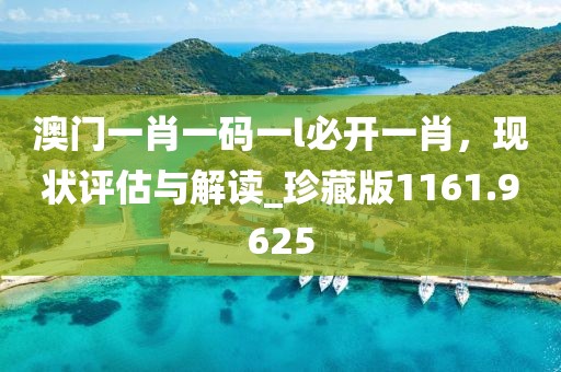 澳门一肖一码一l必开一肖，现状评估与解读_珍藏版1161.9625