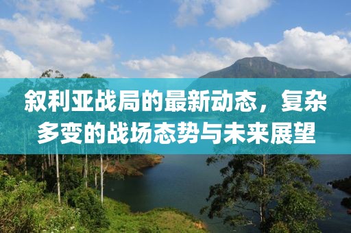 叙利亚战局的最新动态，复杂多变的战场态势与未来展望
