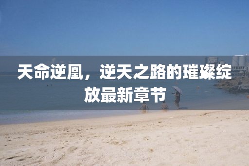 天命逆凰，逆天之路的璀璨绽放最新章节