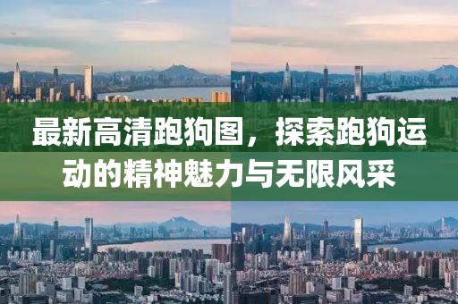 最新高清跑狗图，探索跑狗运动的精神魅力与无限风采