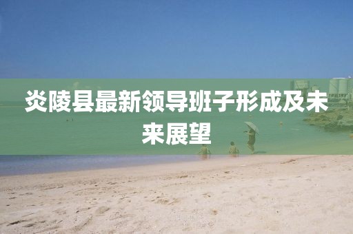 炎陵县最新领导班子形成及未来展望