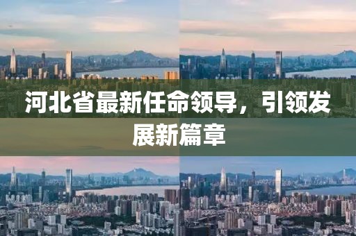 河北省最新任命领导，引领发展新篇章