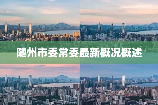 随州市委常委最新概况概述