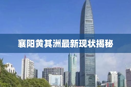 襄阳黄其洲最新现状揭秘