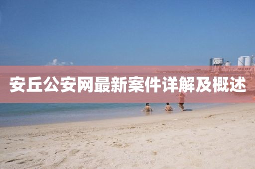 安丘公安网最新案件详解及概述