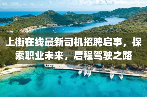 上街在线最新司机招聘启事，探索职业未来，启程驾驶之路