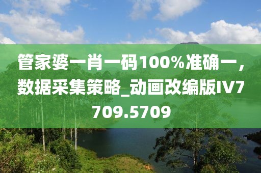 管家婆一肖一码100%准确一，数据采集策略_动画改编版IV7709.5709