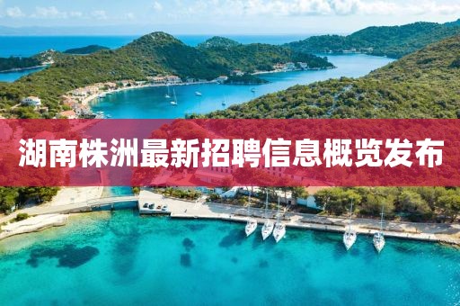 湖南株洲最新招聘信息概览发布