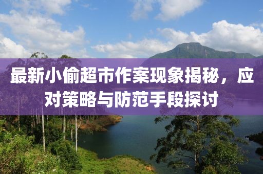 最新小偷超市作案现象揭秘，应对策略与防范手段探讨