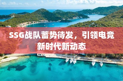 SSG战队蓄势待发，引领电竞新时代新动态