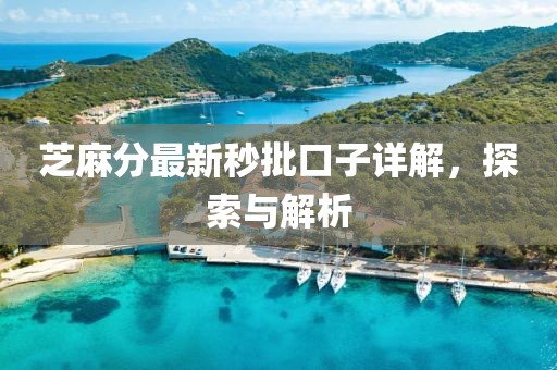 芝麻分最新秒批口子详解，探索与解析
