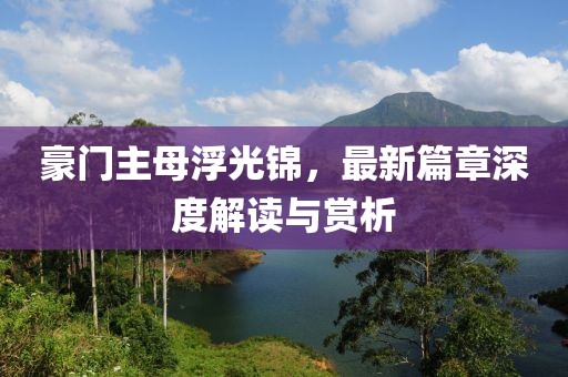 豪门主母浮光锦，最新篇章深度解读与赏析