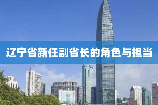 辽宁省新任副省长的角色与担当