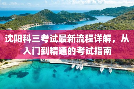 沈阳科三考试最新流程详解，从入门到精通的考试指南