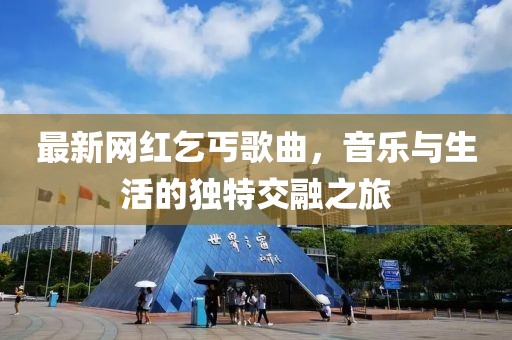 最新网红乞丐歌曲，音乐与生活的独特交融之旅
