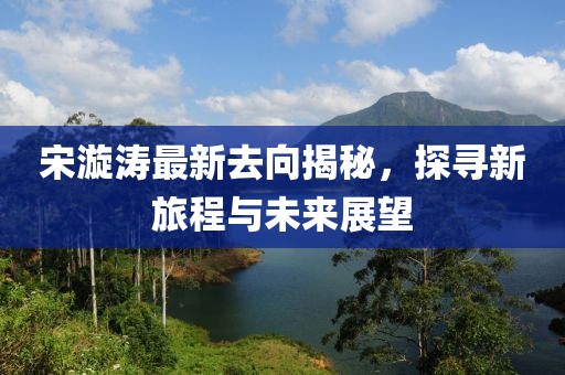 宋漩涛最新去向揭秘，探寻新旅程与未来展望