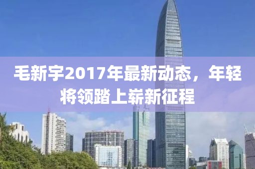 毛新宇2017年最新动态，年轻将领踏上崭新征程