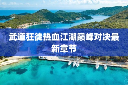 武道狂徒热血江湖巅峰对决最新章节
