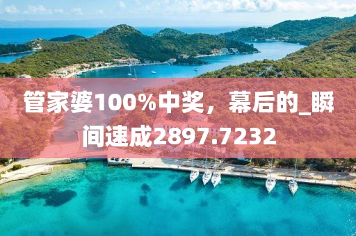管家婆100%中奖，幕后的_瞬间速成2897.7232