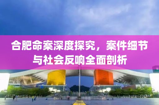 合肥命案深度探究，案件细节与社会反响全面剖析