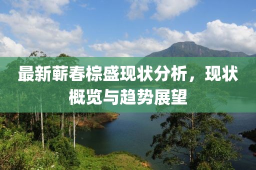 最新蕲春棕盛现状分析，现状概览与趋势展望