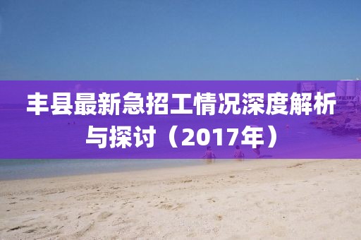 丰县最新急招工情况深度解析与探讨（2017年）
