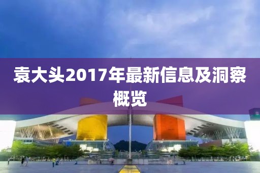 袁大头2017年最新信息及洞察概览