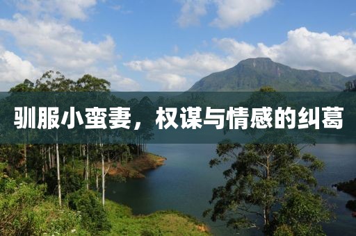 驯服小蛮妻，权谋与情感的纠葛