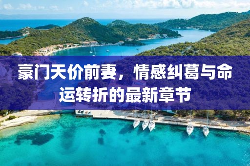 豪门天价前妻，情感纠葛与命运转折的最新章节