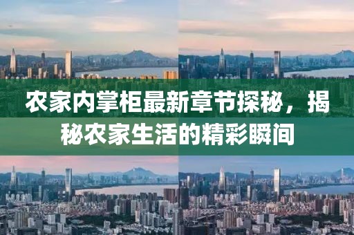 农家内掌柜最新章节探秘，揭秘农家生活的精彩瞬间