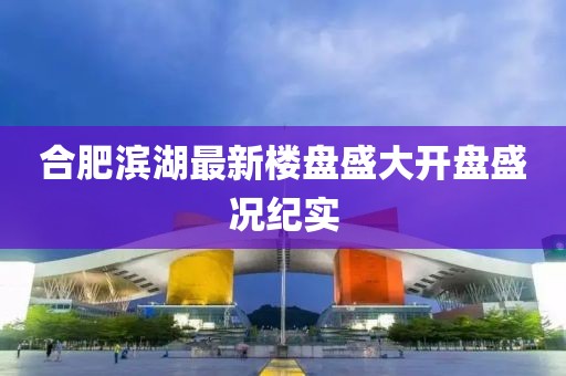 合肥滨湖最新楼盘盛大开盘盛况纪实