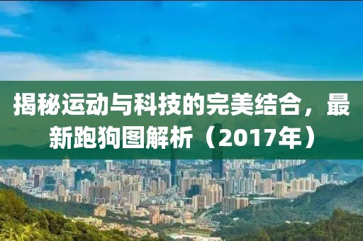 无言倾诉 第11页