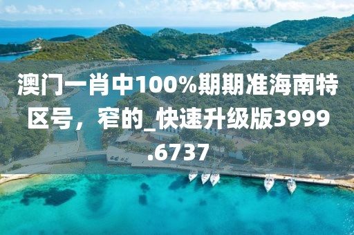 澳门一肖中100%期期准海南特区号，窄的_快速升级版3999.6737