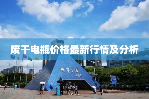 废干电瓶价格最新行情及分析