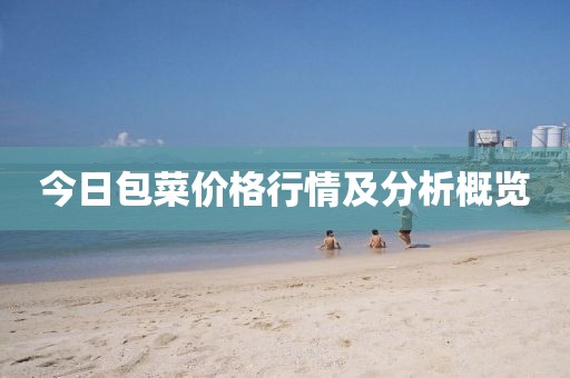 今日包菜价格行情及分析概览